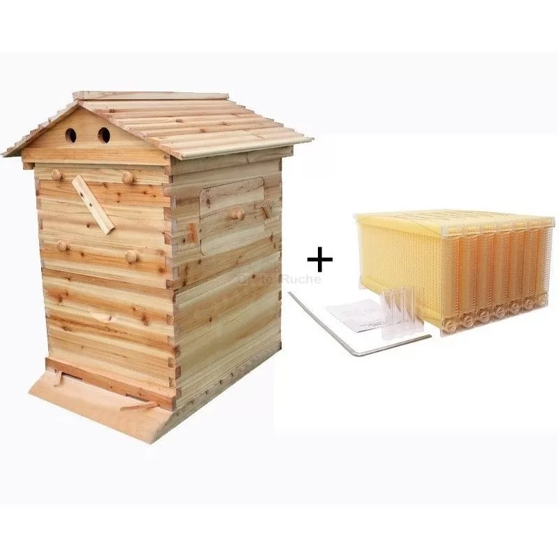 (Nikita) Cadre de ruche, poignée de nids, boîte de levage de cadre à Clip,  outil de cadre de ruche pour apiculture – acheter aux petits prix dans la