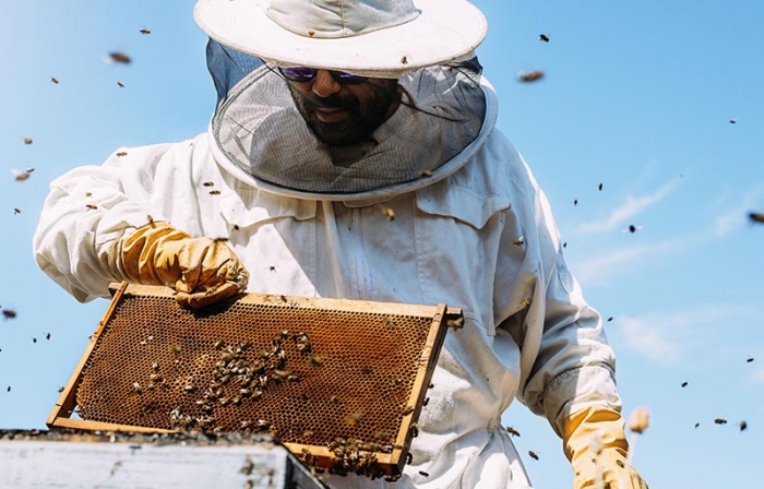 comment nettoyer ses gant, sa combinaison et ses outils d'apiculture