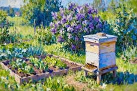 Les &eacute;tapes essentielles pour transvaser une ruchette dans un ruche